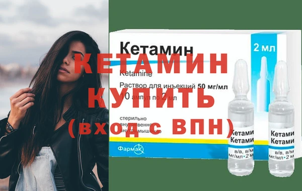 дмт Бородино
