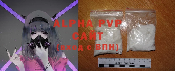 дмт Бородино