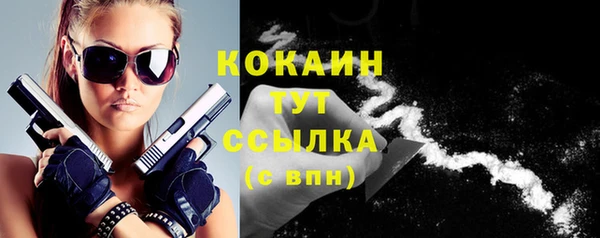 дмт Бородино