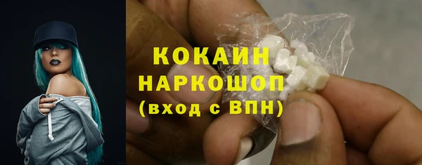 дмт Бородино