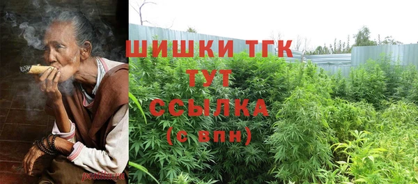 ALPHA PVP Богородицк