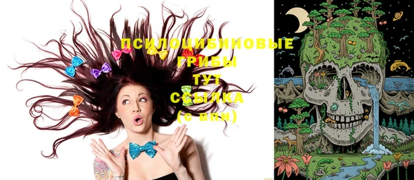 дмт Бородино