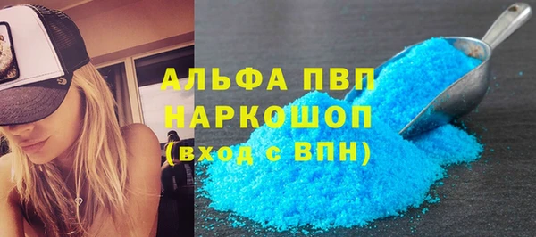 дмт Бородино