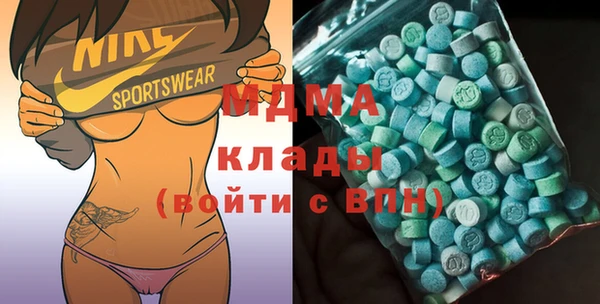 дмт Бородино